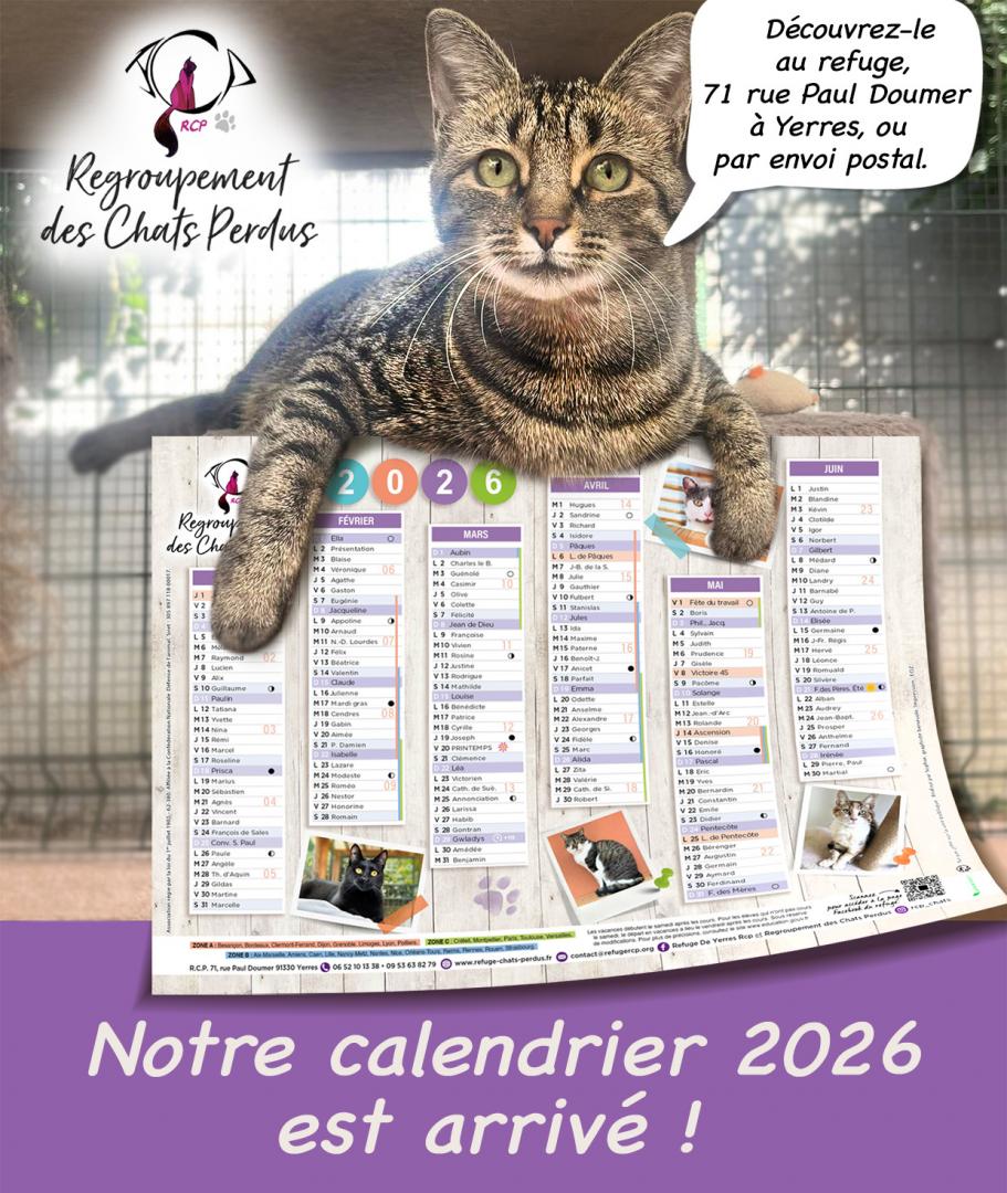 Refuge chat – Yerres