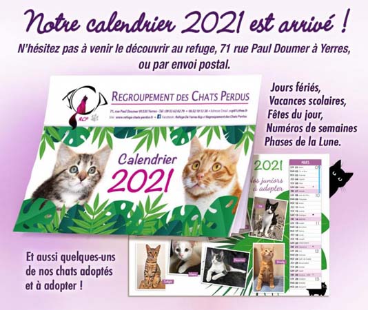 Adoption chat – Yerres