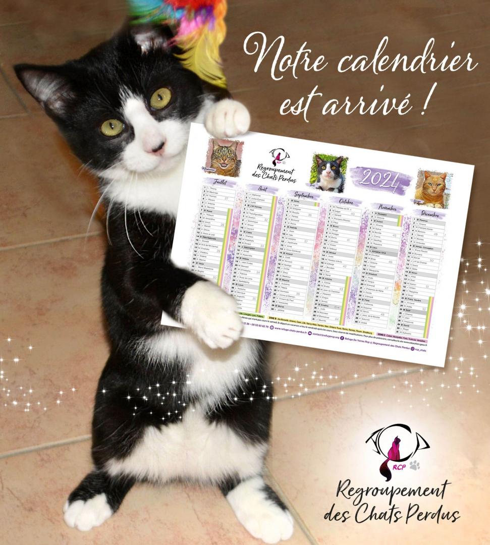Refuge chat – Yerres