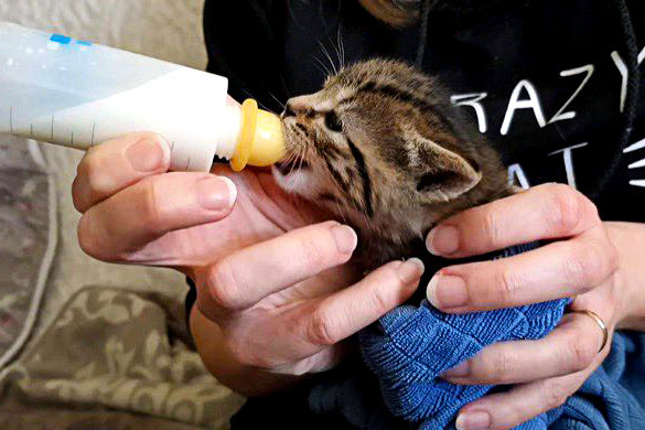 Recherche Biberonneuse(s)